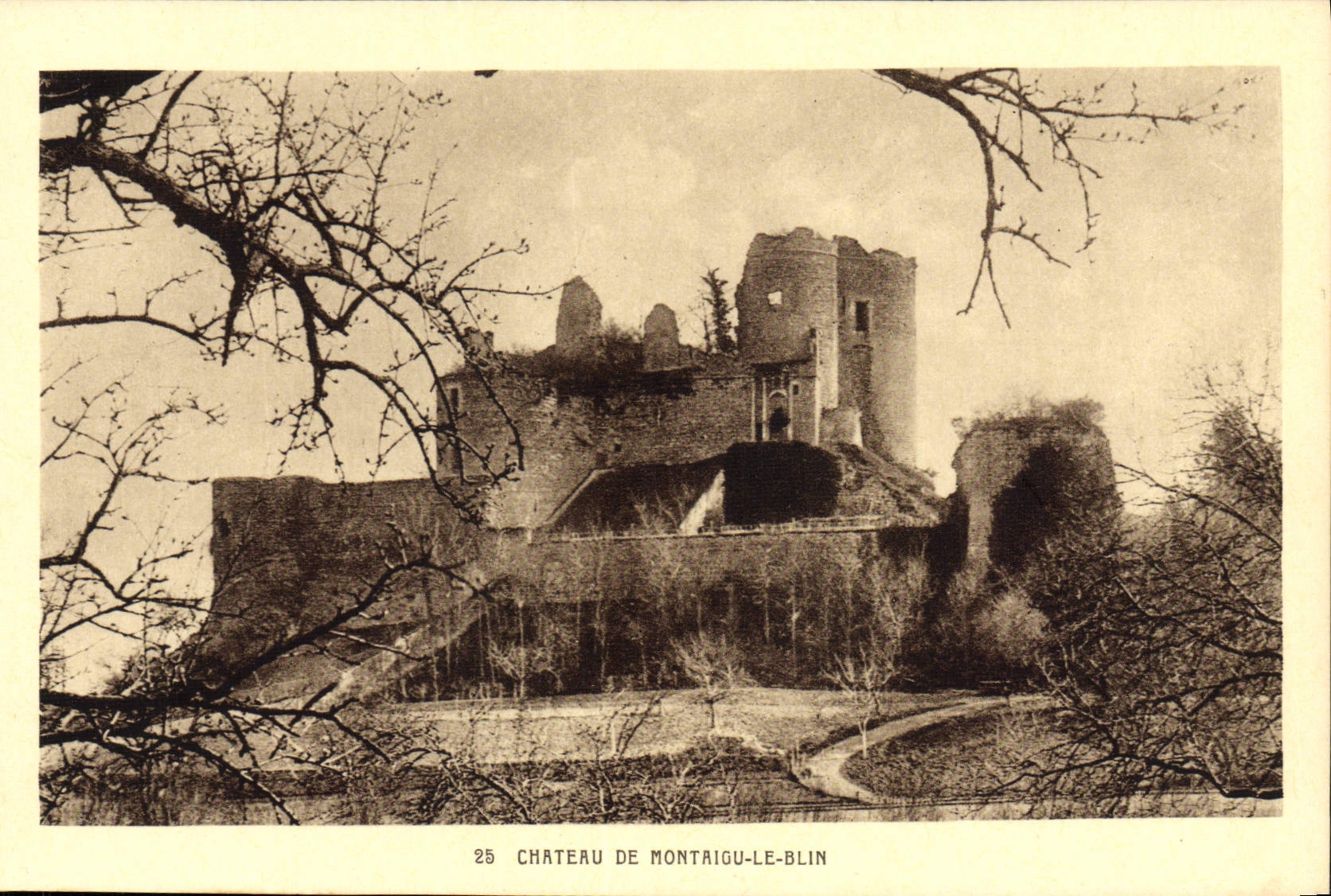 VINTAGE POSTCARD Castle De Montaigu Blin