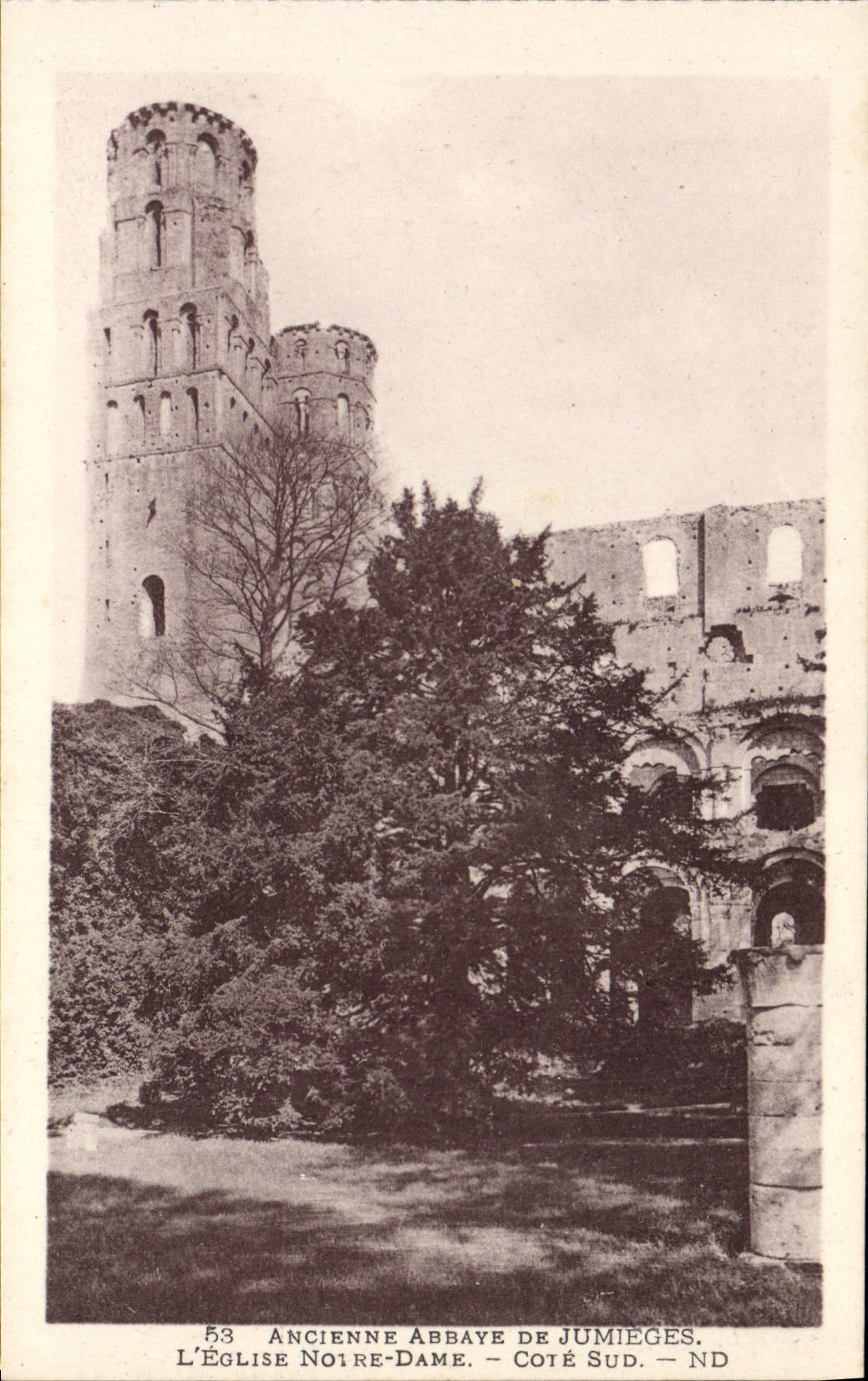 VINTAGE POSTCARD Old Abbey De Jumieges the church Notre Dame Southern part