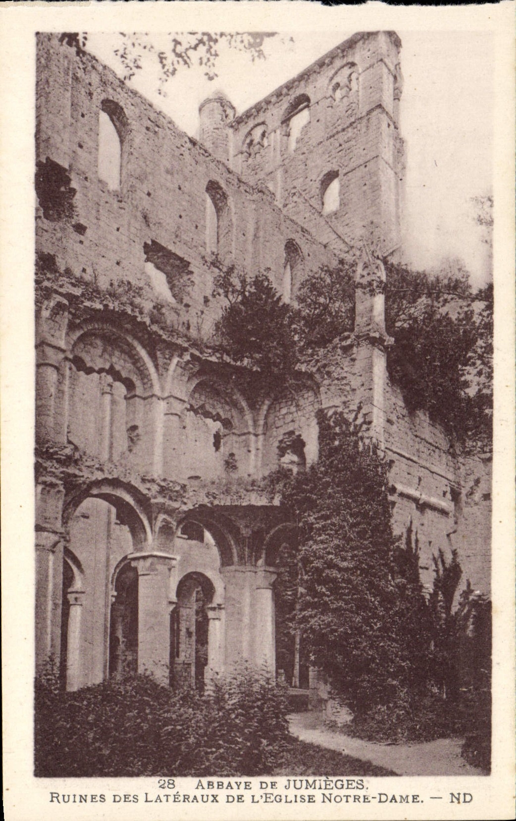 CPA Ancienne Abbaye De Jumieges Ruines Des Lateraux de l'eglise Notre Dame
