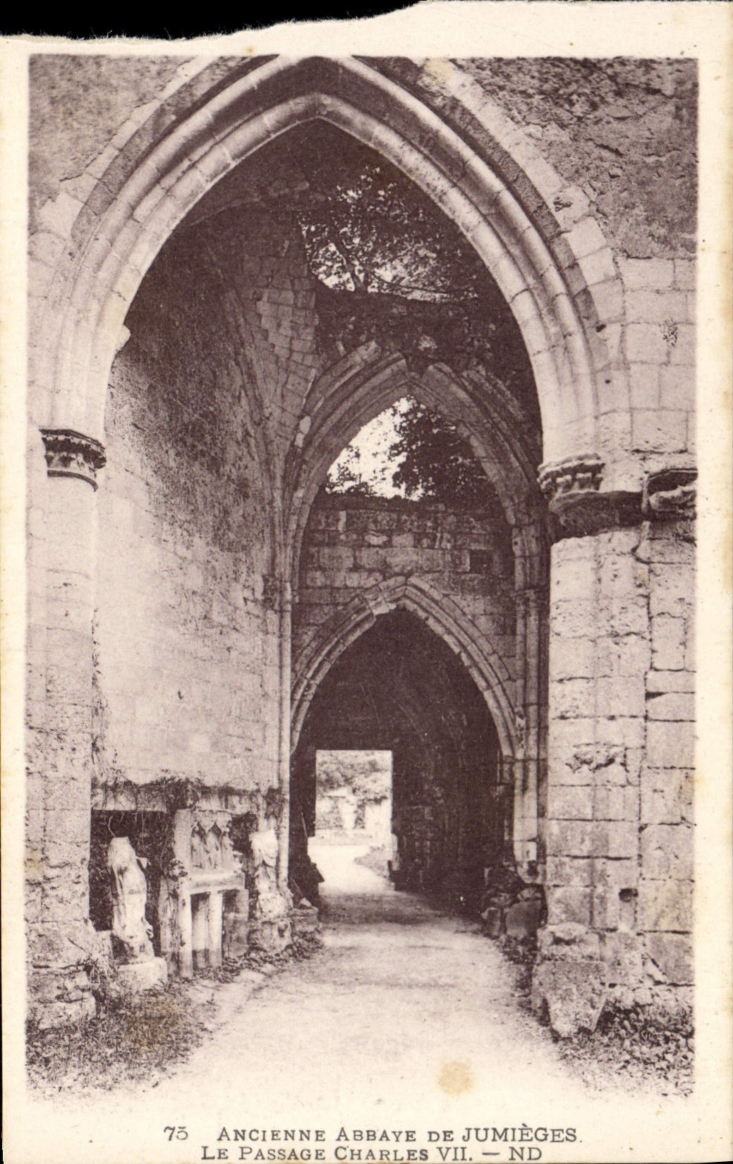 VINTAGE POSTCARD Jumieges Underground Room the passage Charles VII