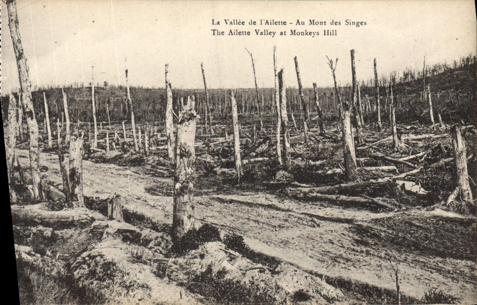 CPA La Vallee De l'Ailette Au Mont Des Singes Militaria