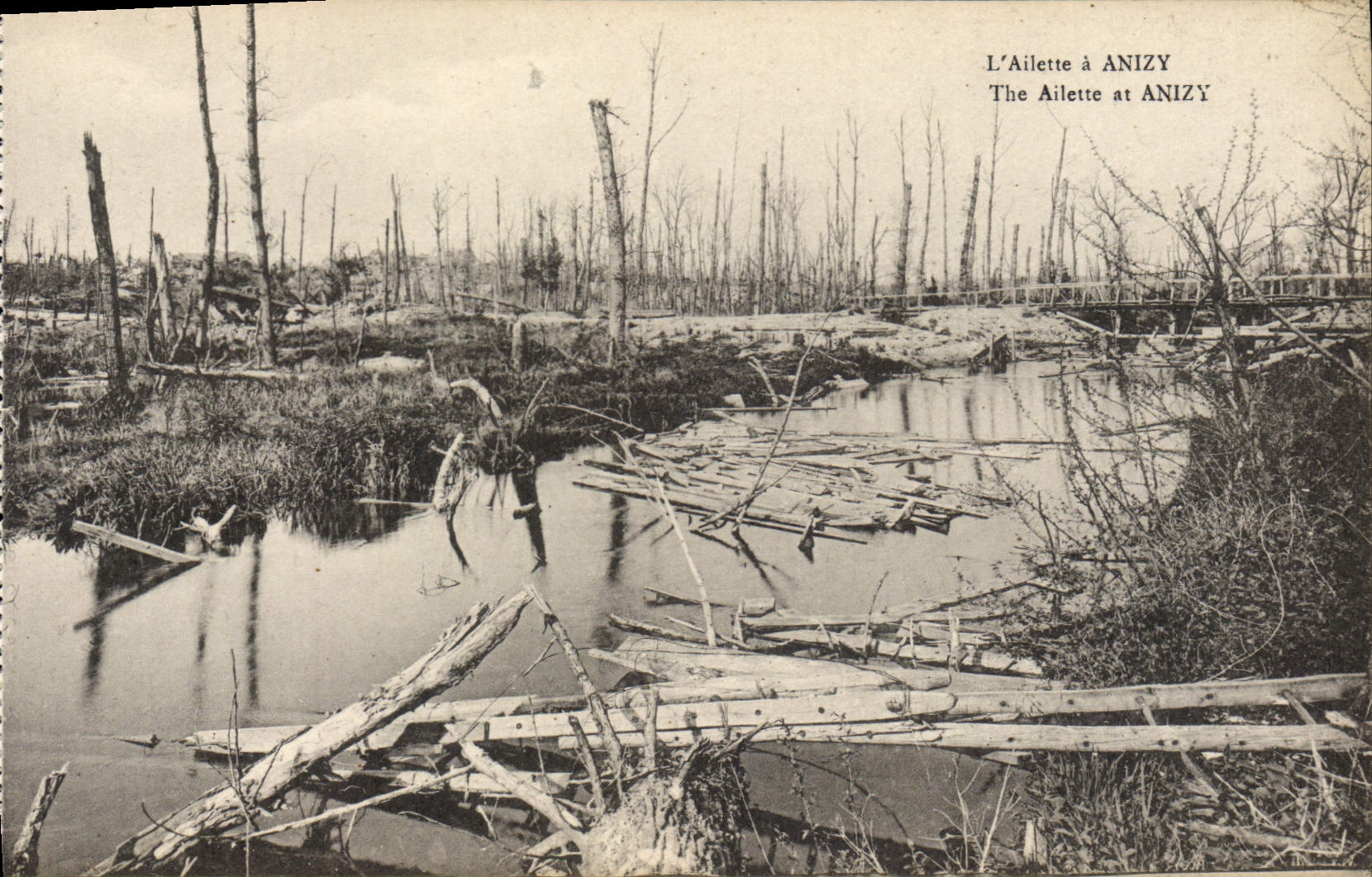 VINTAGE POSTCARD the Wing has Anizy Militaria