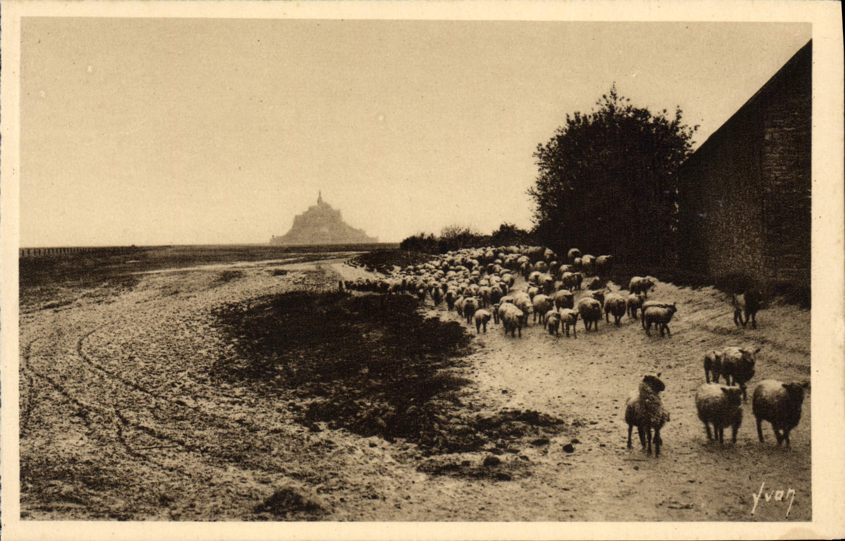 POSTAL de la VENDIMIA la vuelta sucia cercana del St Miguel del montaje de las ovejas del pasto