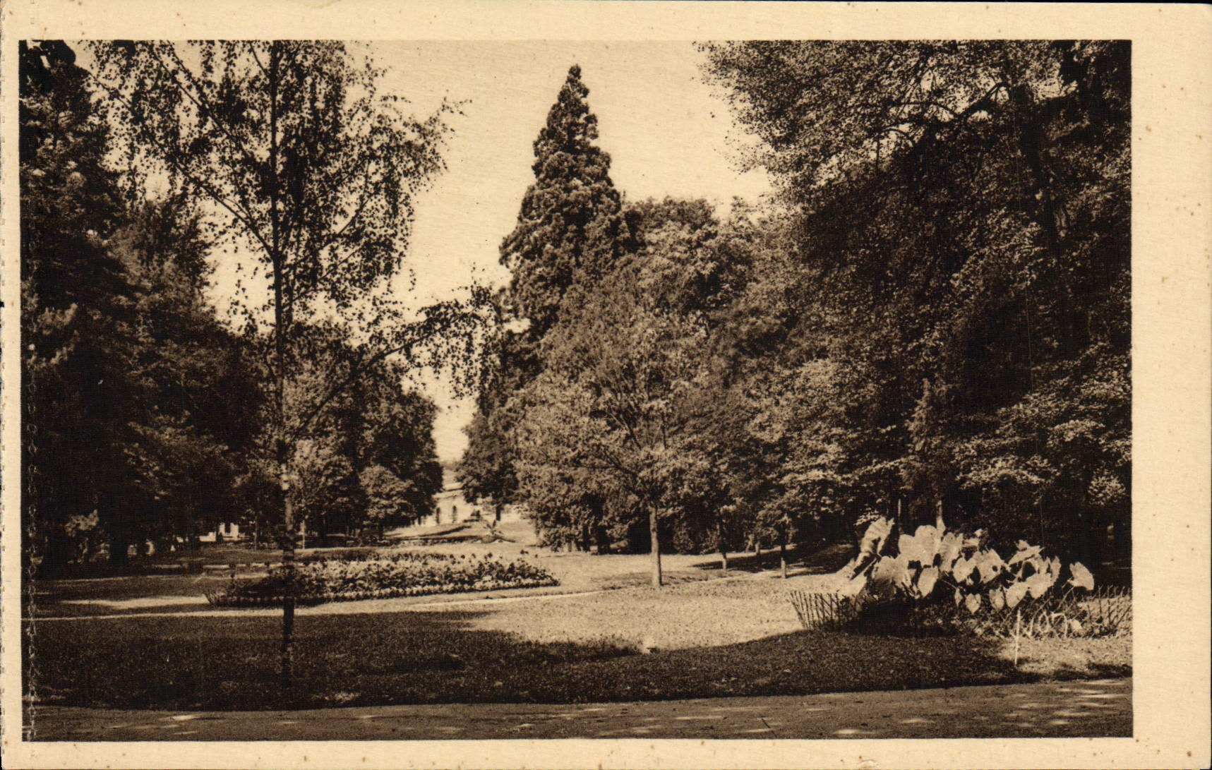 VINTAGE POSTCARD Aix Les Bains the Park