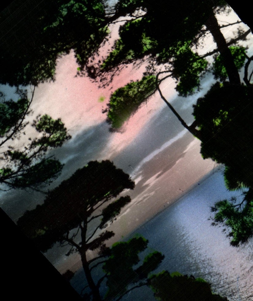 CPM Cote d'Azur Contre jour