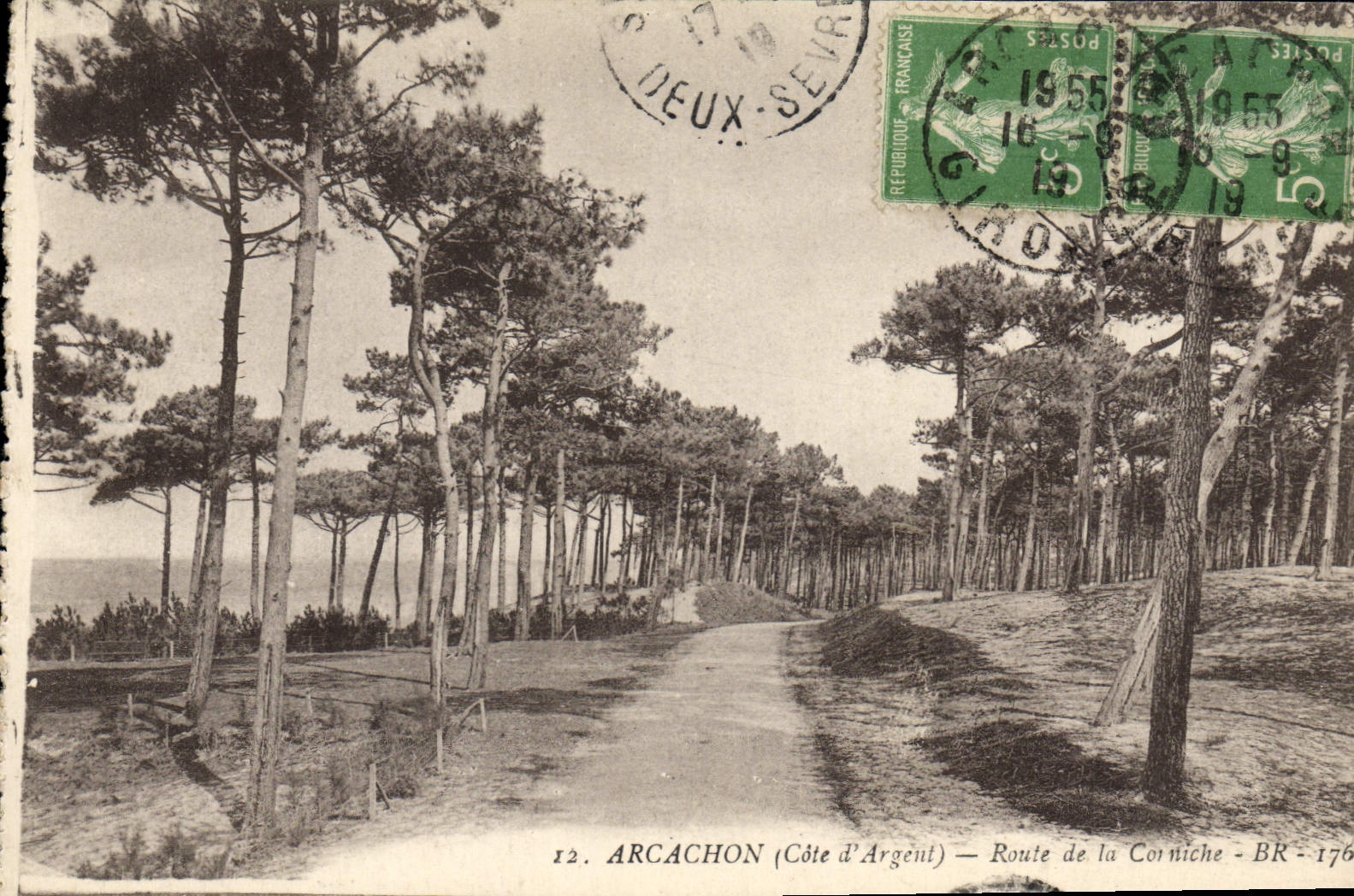 CPA Arcachon Route De La Corniche