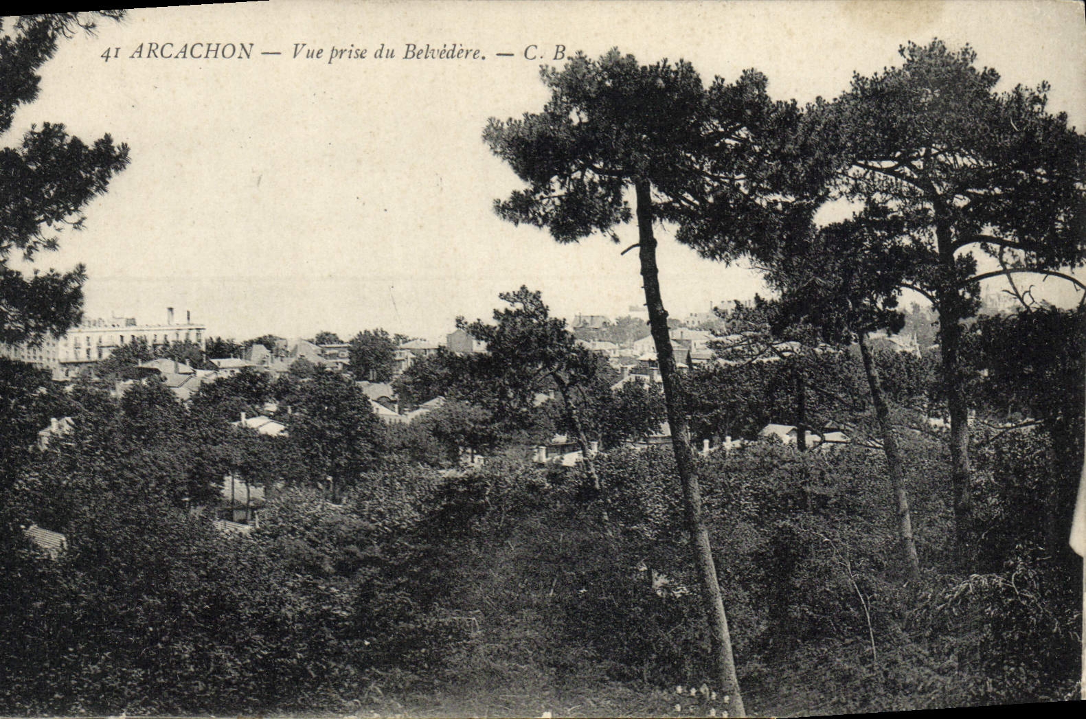 CPA Arcachon Vue Prise Du Belvedere