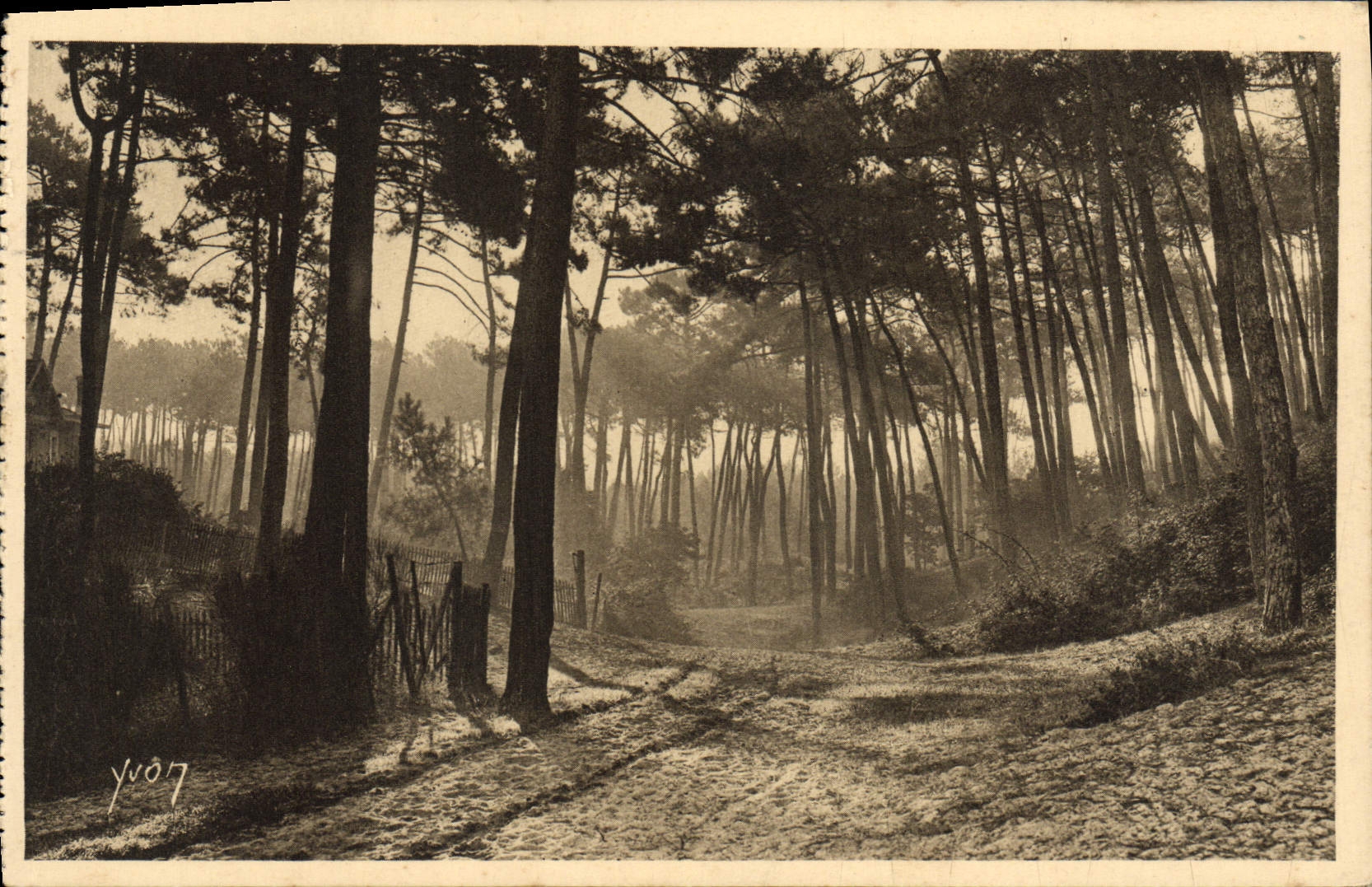 VINTAGE POSTCARD Arcachon Morning Of Fall In the Drill Of the Town Of Winter