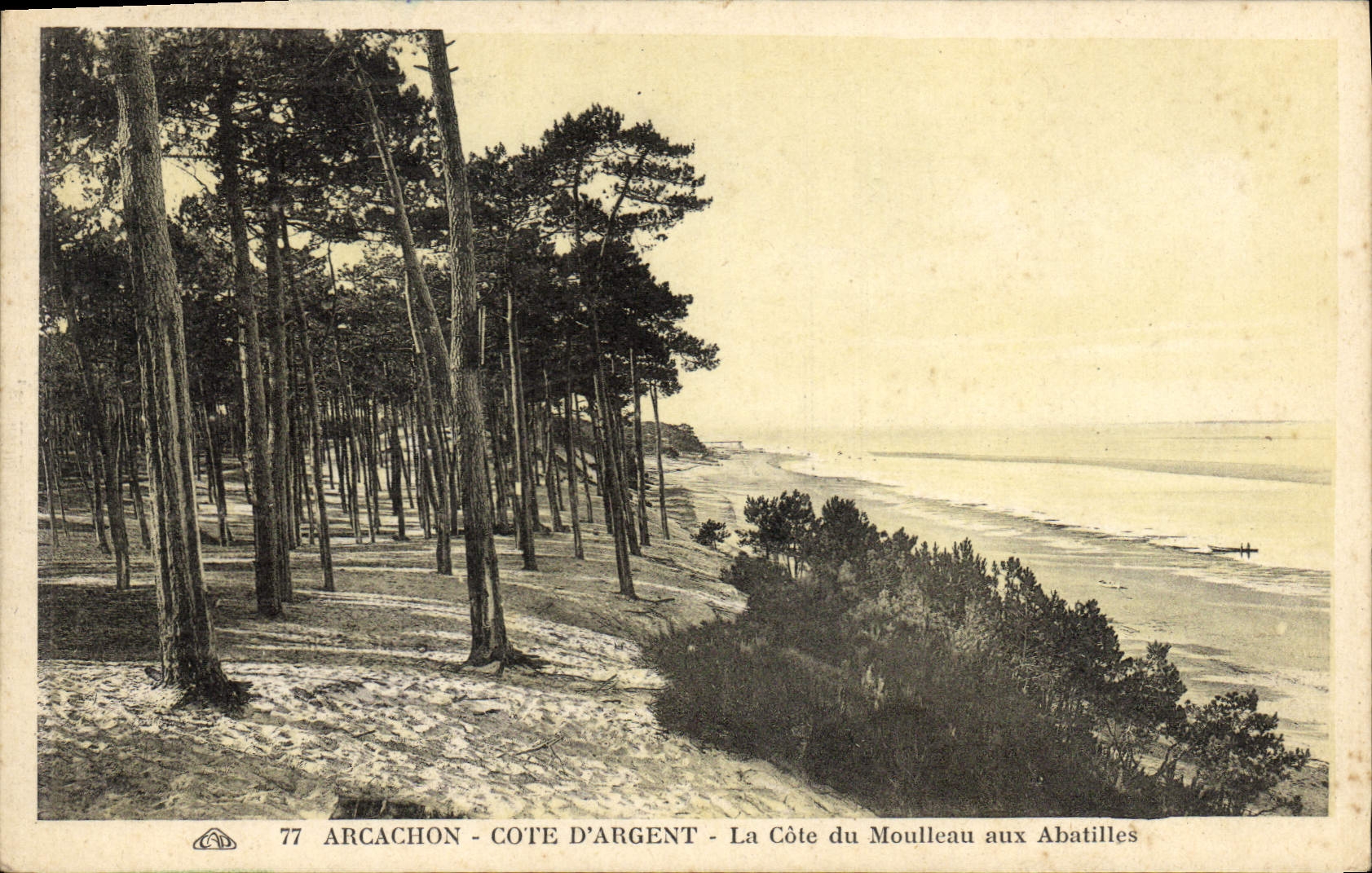 CPA Arcachon Cote D'Argent La Cote Du Moulleau Aux Abatilles