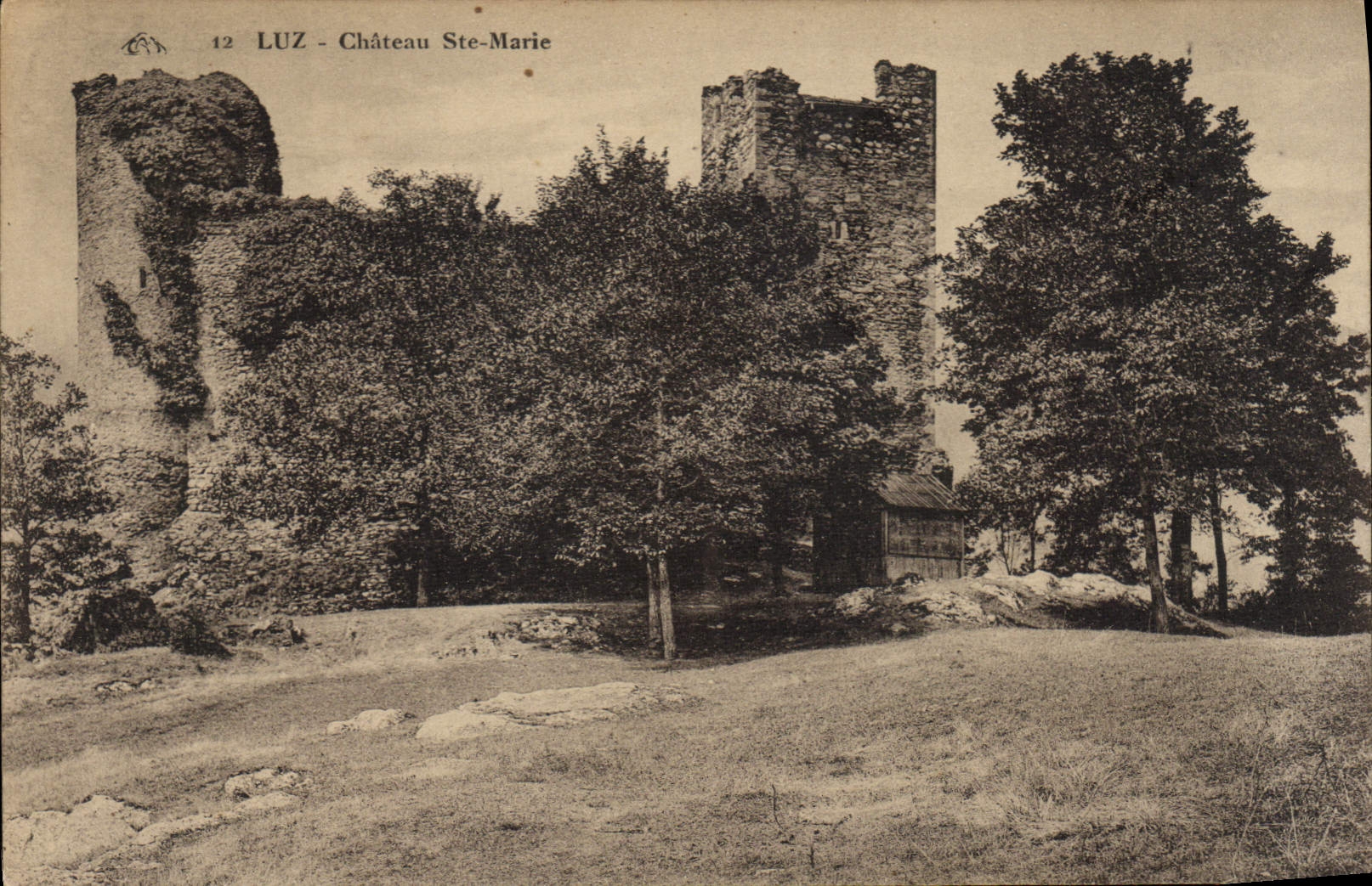 VINTAGE POSTCARD Luz Castle co. Marie