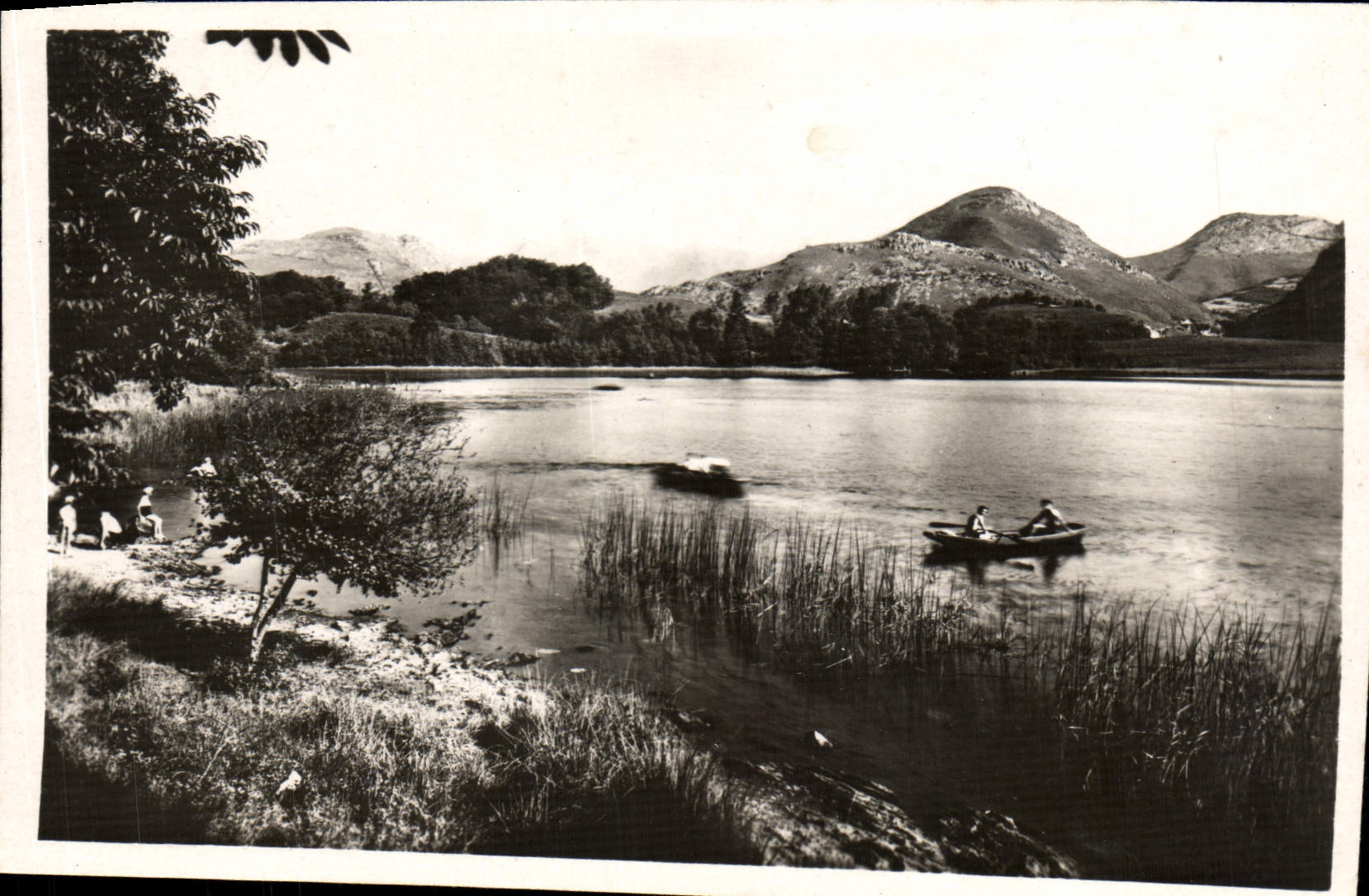 POSTAL de la VENDIMIA pesada el lago