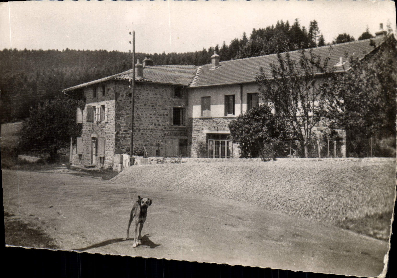 MODERN CARD Bethanie Chansaye