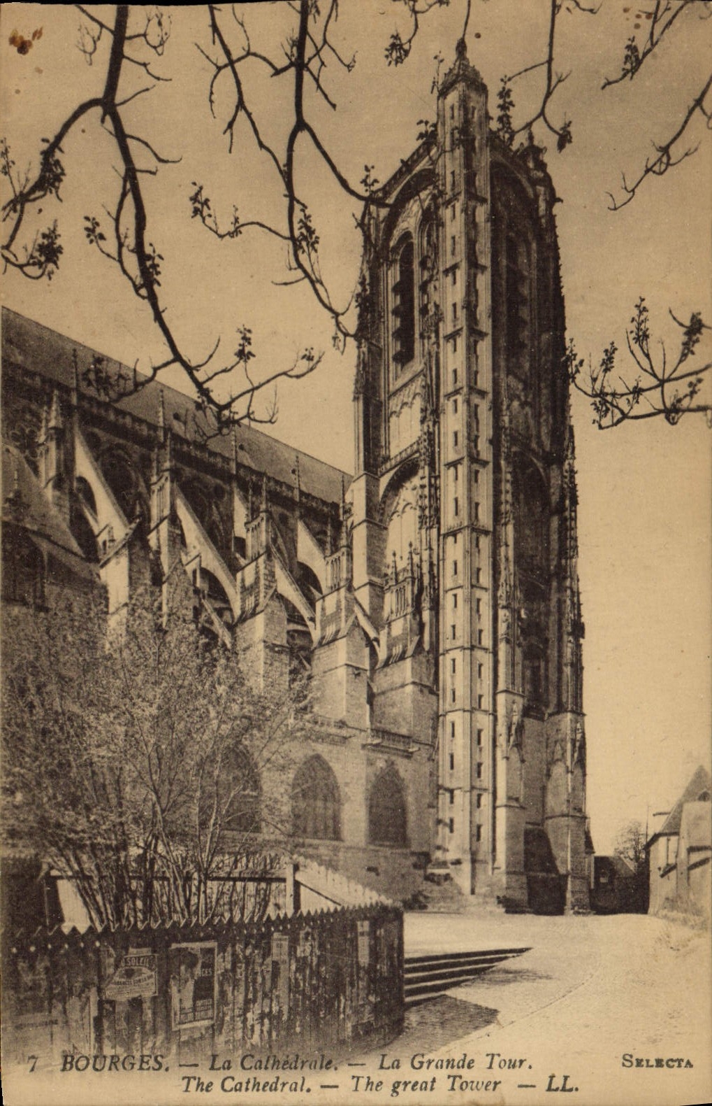VINTAGE POSTCARD Bourges the Cathedral the Large tower