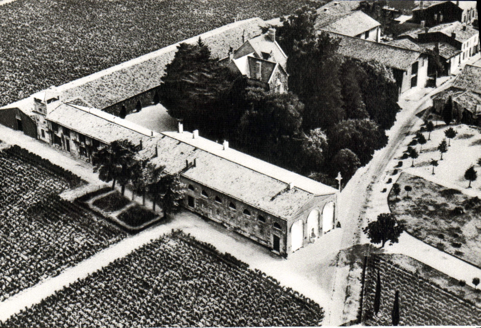 MODERN CARD Pauillac Castle Rothschild Sheep has Pauillac