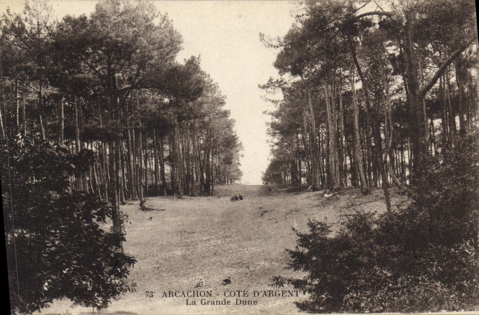 CPA Arcachon Cote D'Argent La Grande Dune