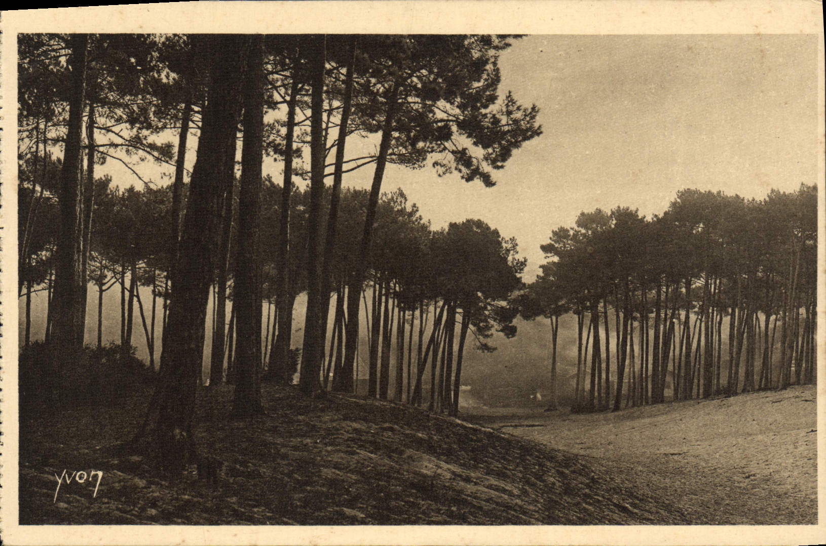 VINTAGE POSTCARD Arcachon Grendes Dunes of the Town of Winter