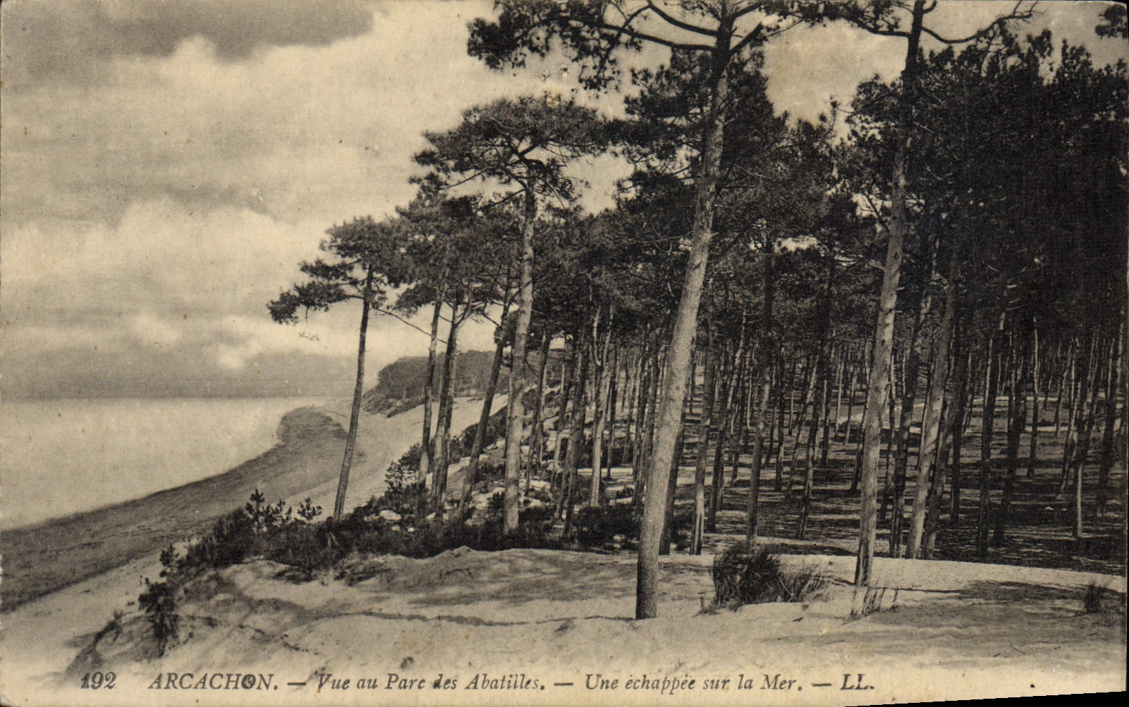 CPA Arcachon Vue au Pare des Abatilles une Echappee sur la Mer