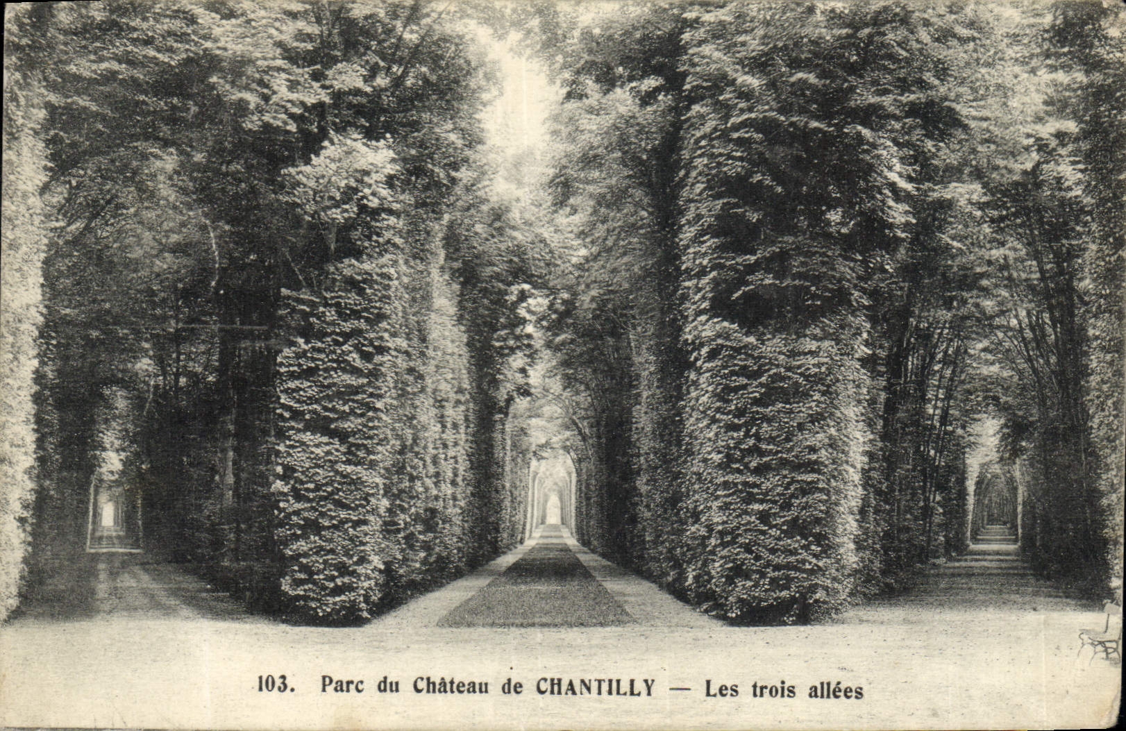 CPA Chateau De Chantilly Les Trois Allees
