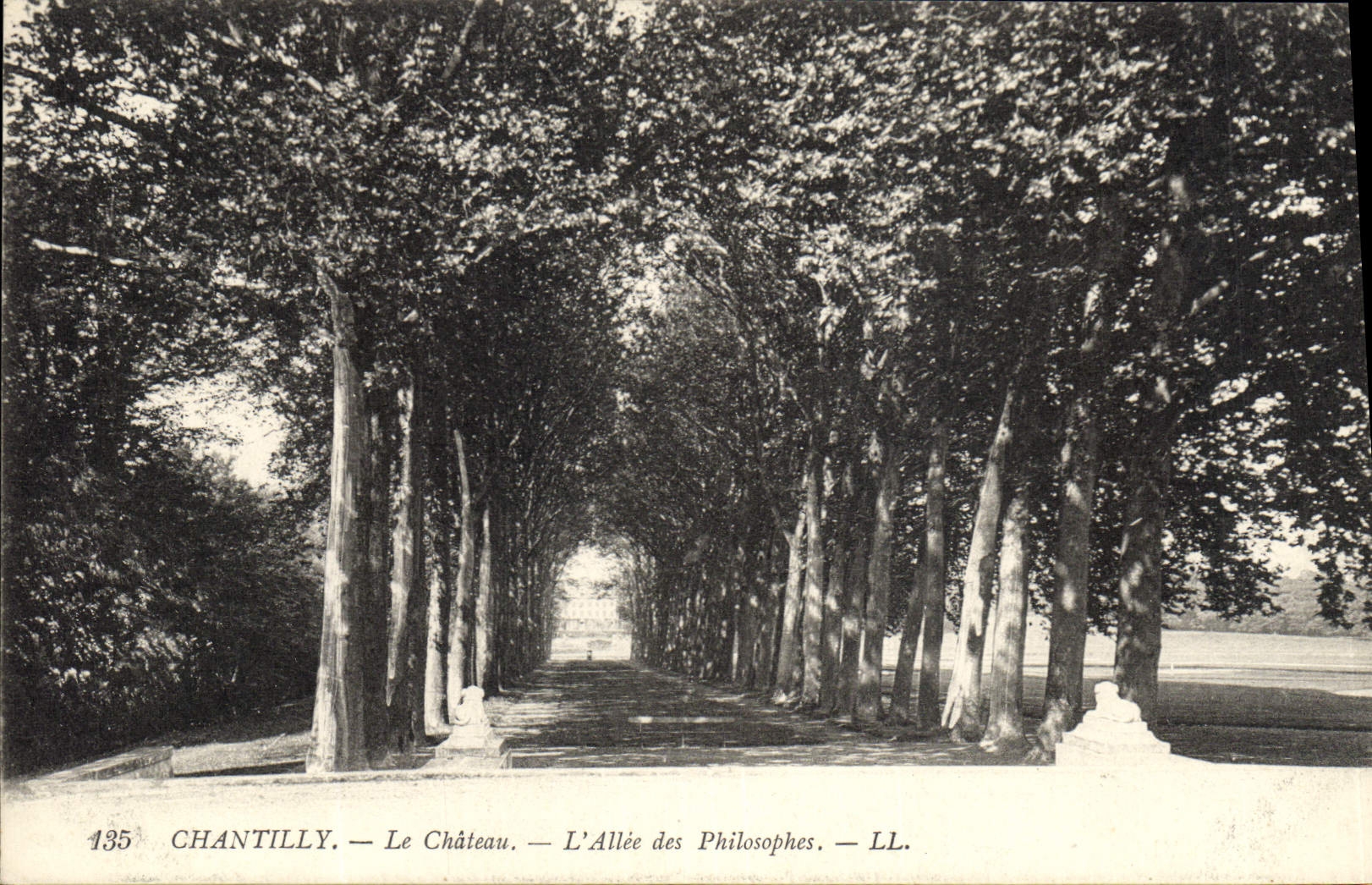 VINTAGE POSTCARD Castle Of Chantilly the alley of the philosophers