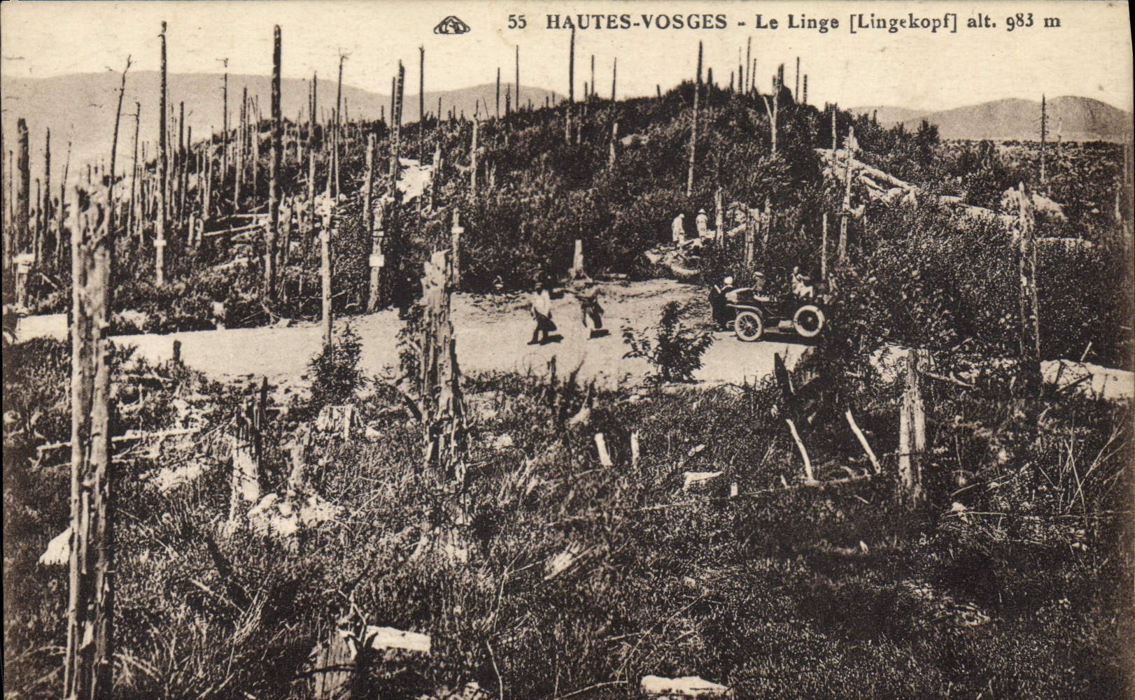 POSTAL de la VENDIMIA los altos Vosges el lino