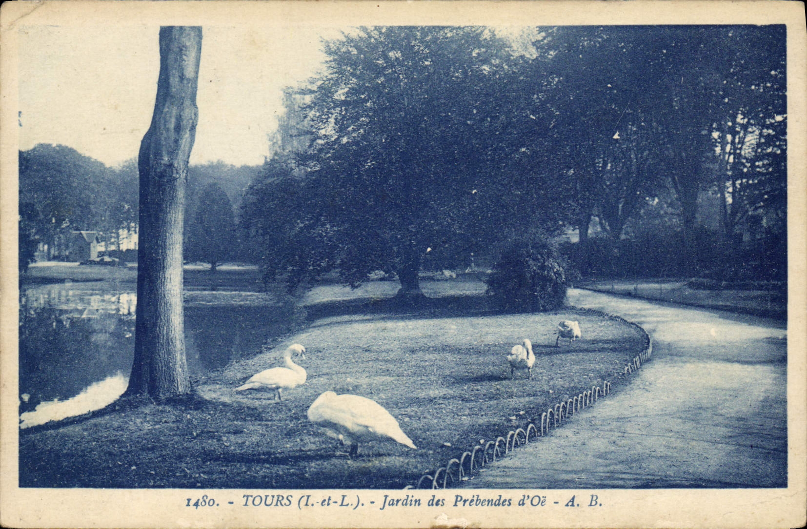 CPA Tours Jardin Des Prebendes d'Oe 