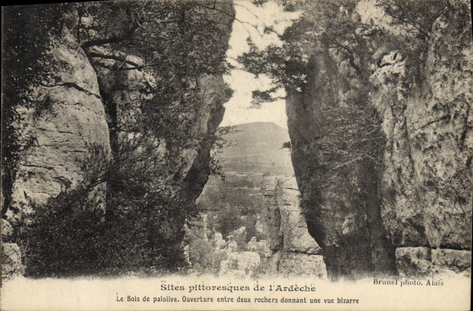 VINTAGE POSTCARD Picturesque Sites Of Ardeche the wood of paiolive
