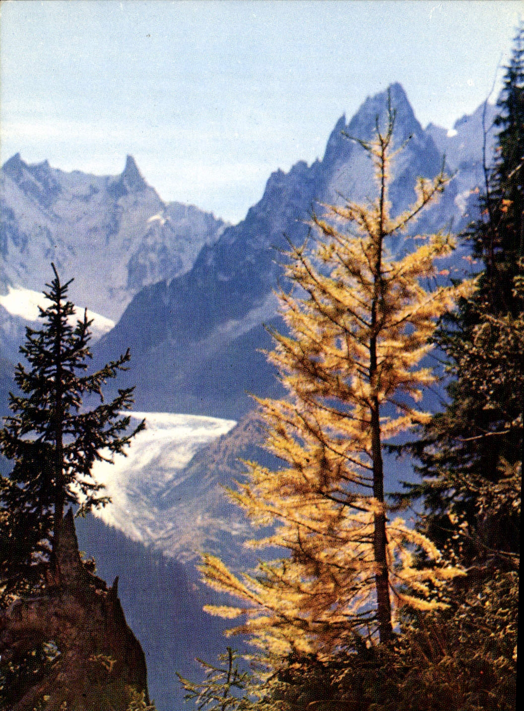 MODERN CARD With the Country Of Mont Blanc Sea Of Ice Large Charmoz and the tooth of the giant