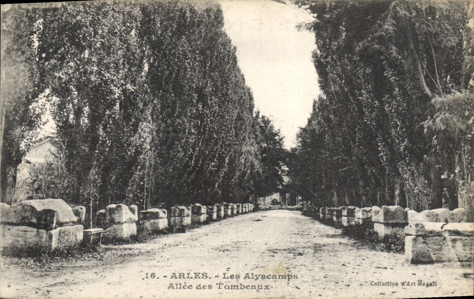 VINTAGE POSTCARD Arles Alyscamps Gone Of the Tombs