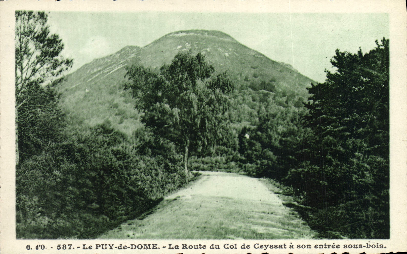 CPA L'Auvergne La Route Du Col De Ceyssat a son entree sous bois