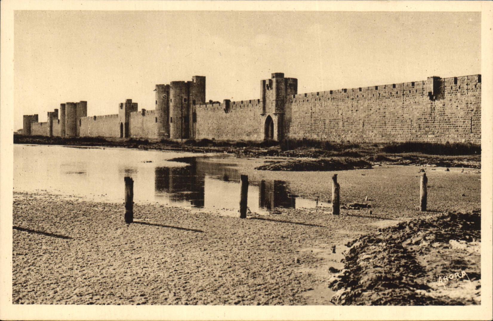 VINTAGE POSTCARD Acute Dead Walls