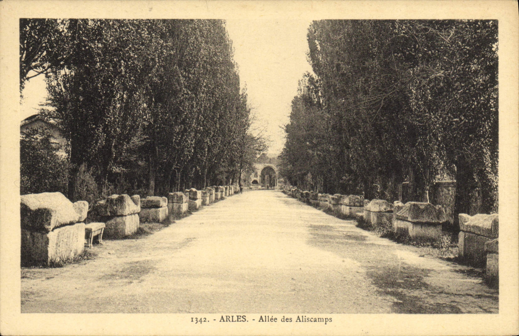 CPA Arles Allee Des Aliscamps