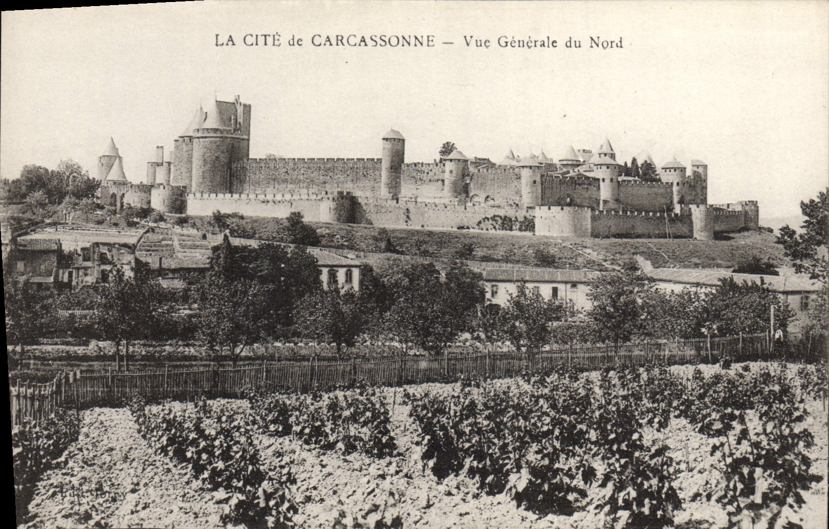 CPA Cite de Carcassonne Vue generale du Nord