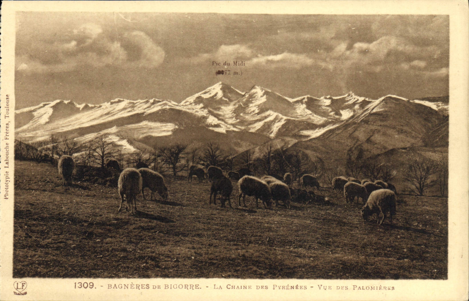 VINTAGE POSTCARD Bagneres de Bigorre the chain of the Pyrenees Seen of Palomieres Sheep