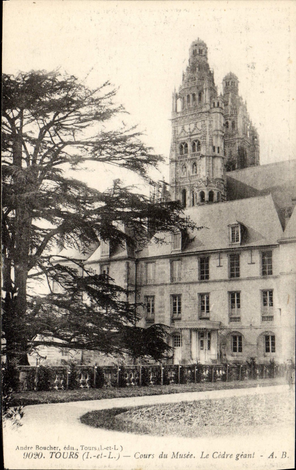 VINTAGE POSTCARD Tours Course of the museum the giant cedar