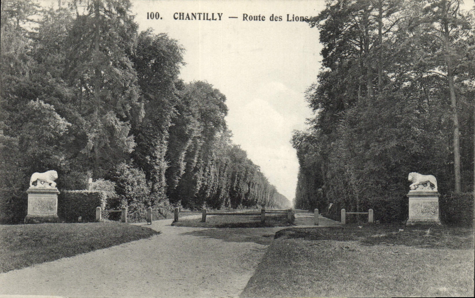 VINTAGE POSTCARD Chantilly Road of the Lions