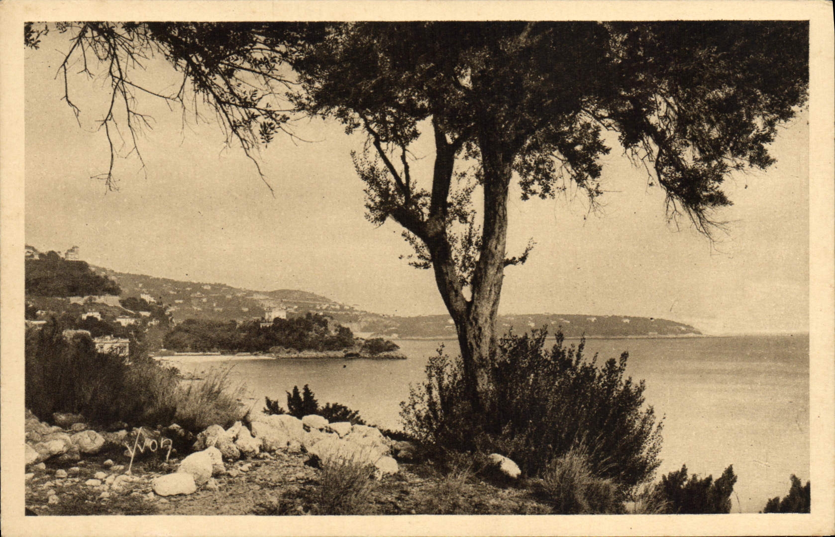 CPA Monaco La littoral vers le Cap Martin