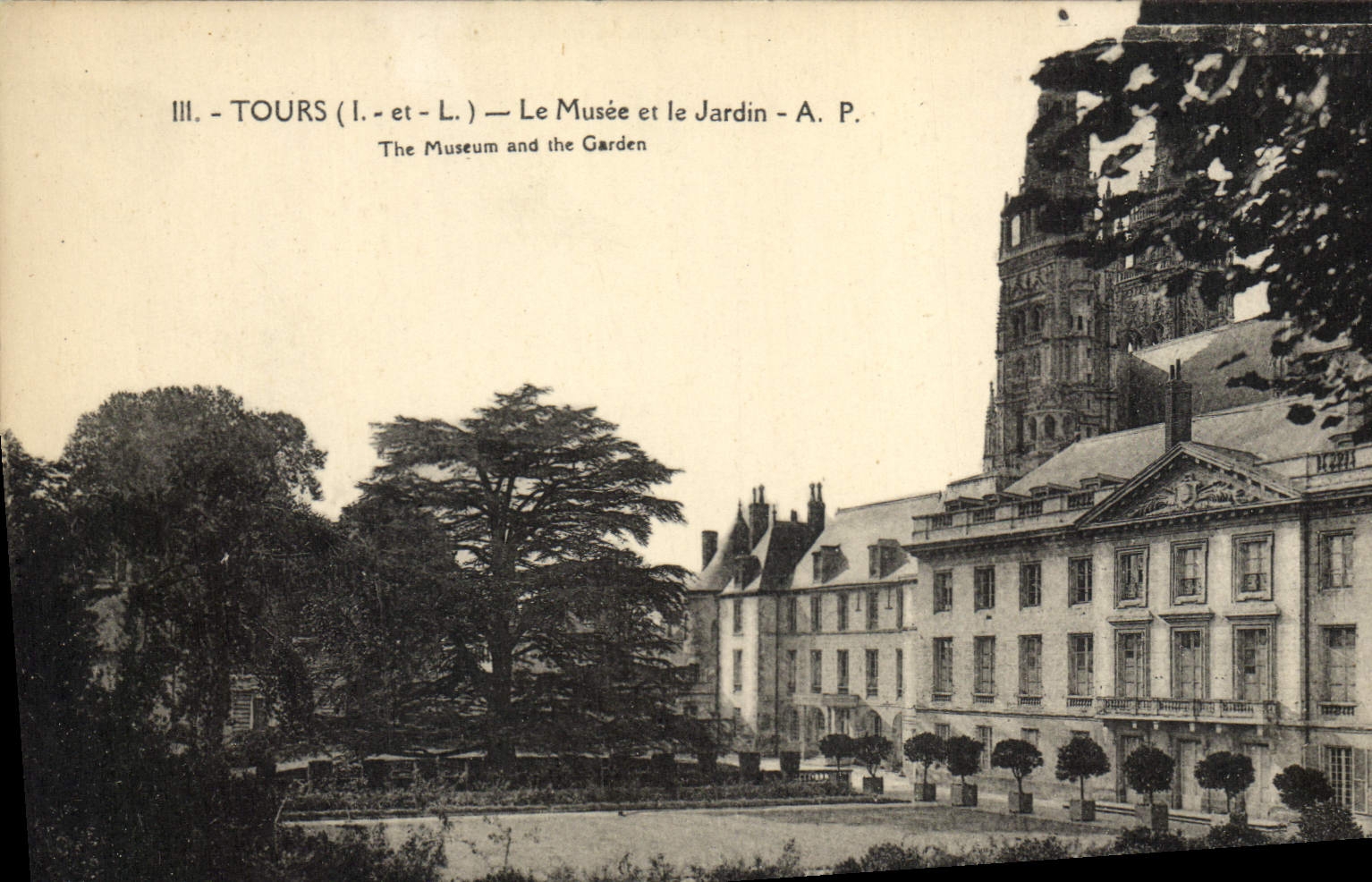 CPA Tours Le musee et le jardin
