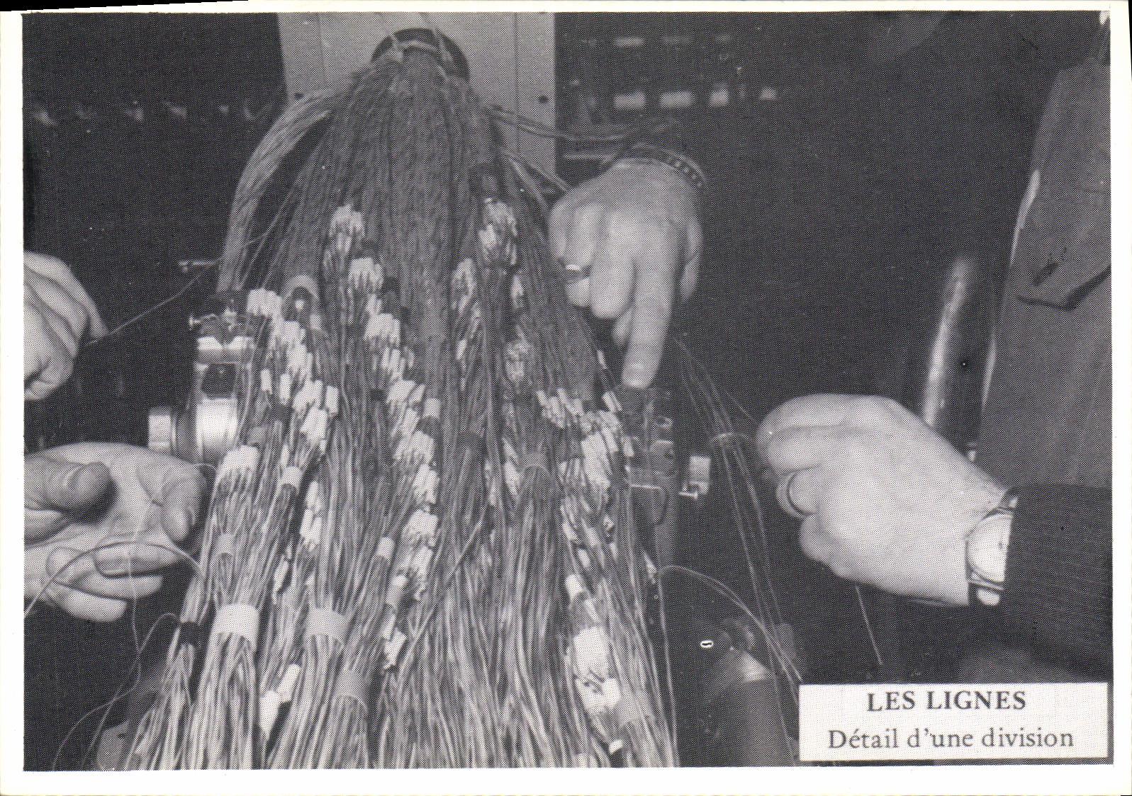 MODERN CARD the lines Detail of a division