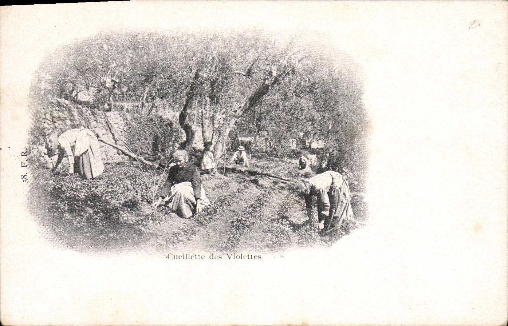 VINTAGE POSTCARD Gathering of the violets Perfume