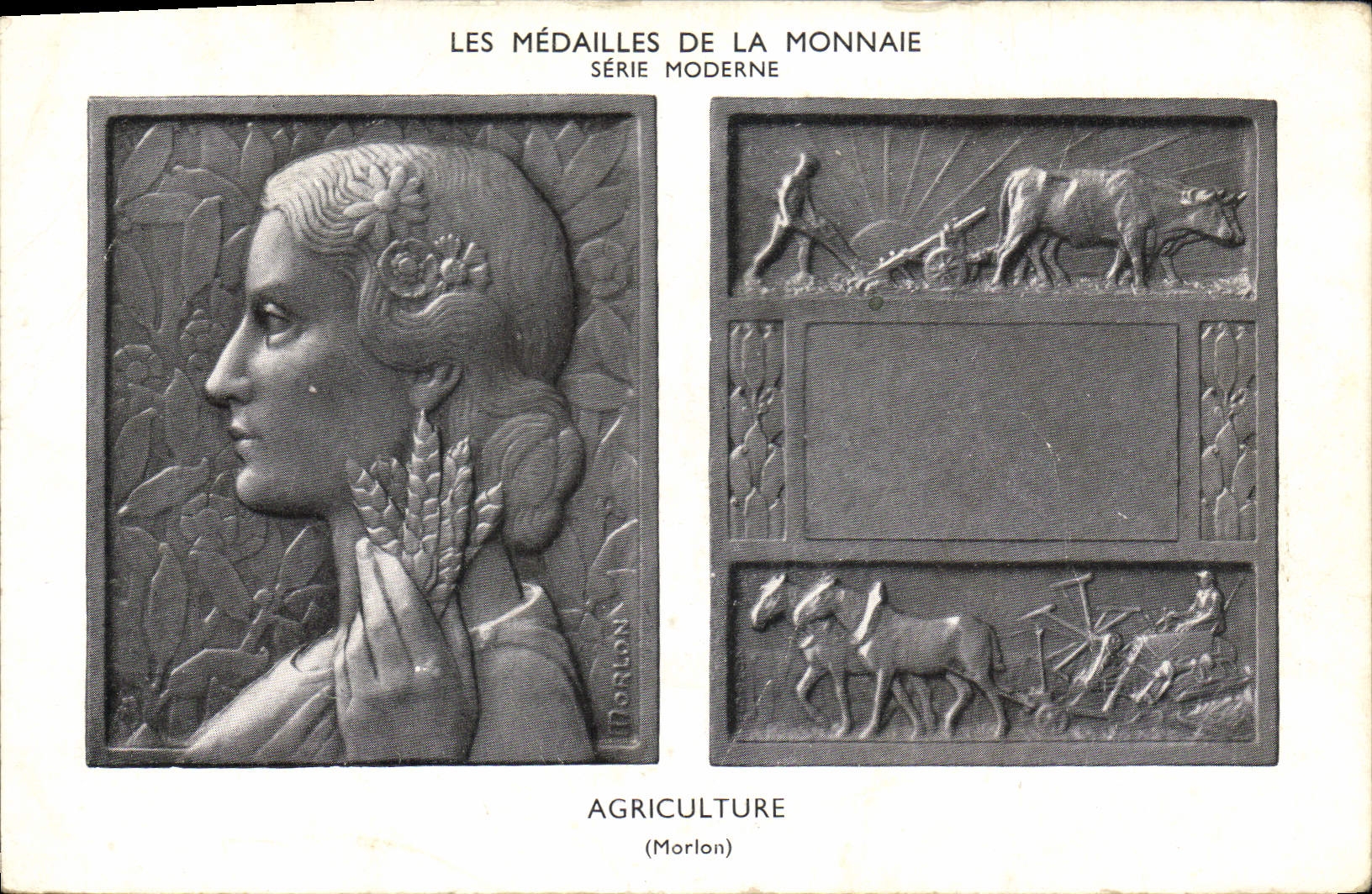 VINTAGE POSTCARD Currencies Medals of the currency Agriculture