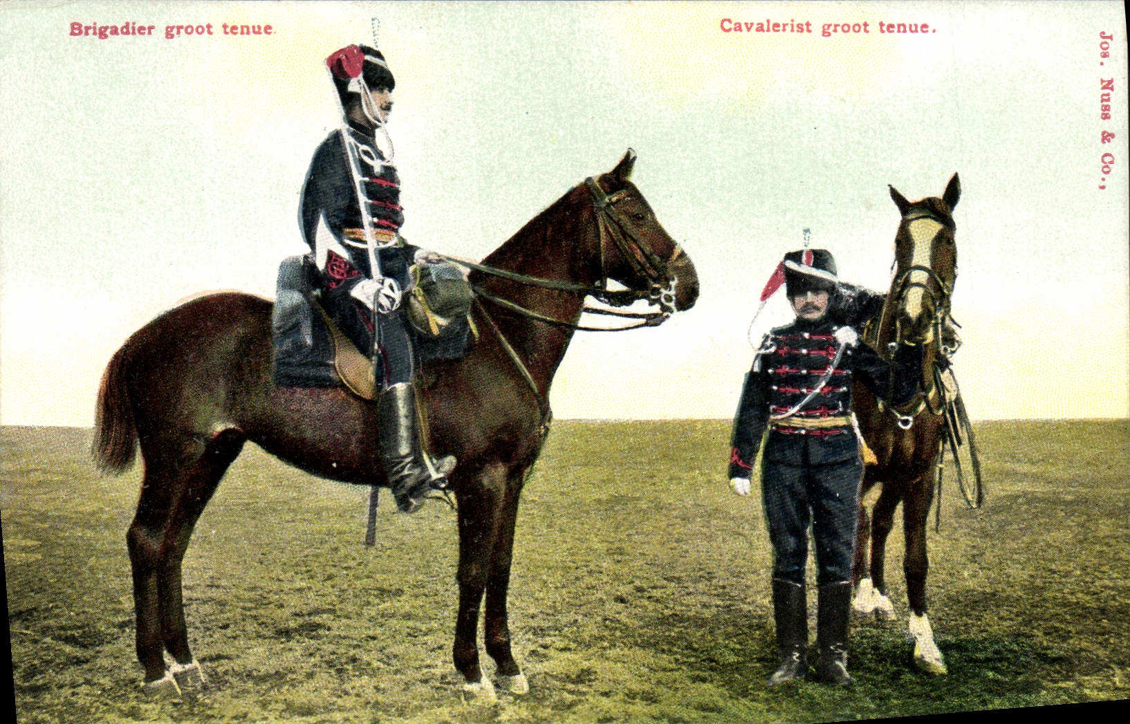 CPA Militaria Brigadier Cheval