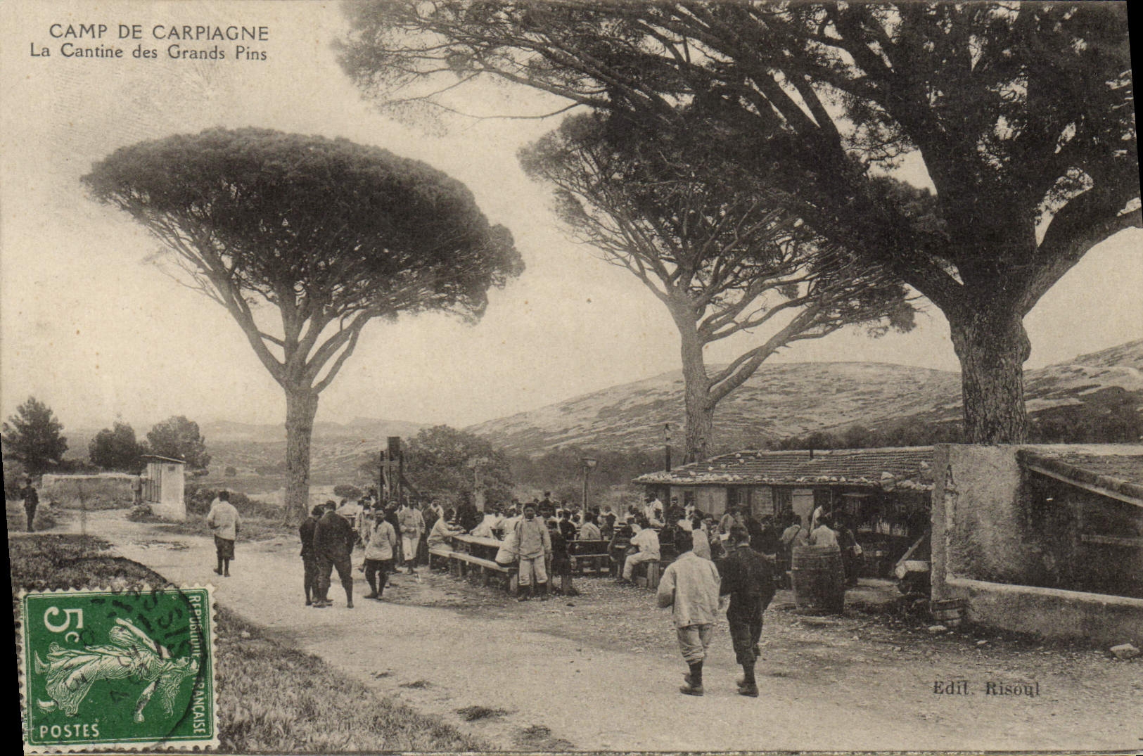 Campo de Militaria de la POSTAL de la VENDIMIA de Carpiagne la cantina de los pinos grandes