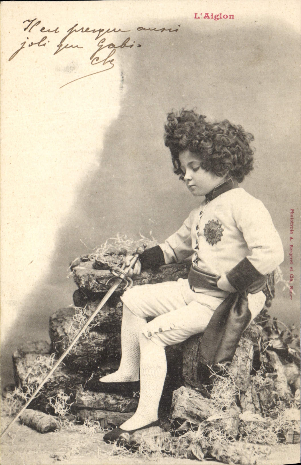 VINTAGE POSTCARD Napoleon History the 1st eaglet