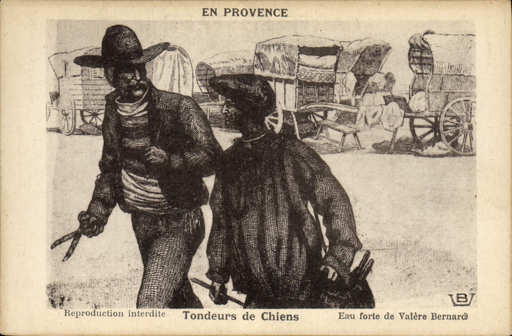 POSTAL de la VENDIMIA en los esquiladores de Provence de los perros Velere Bernard