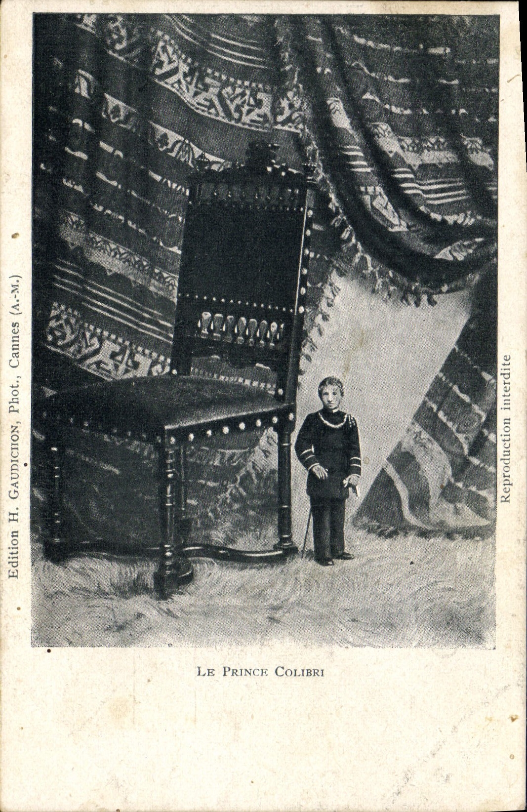 Príncipe Colibri del enano de la POSTAL de la VENDIMIA