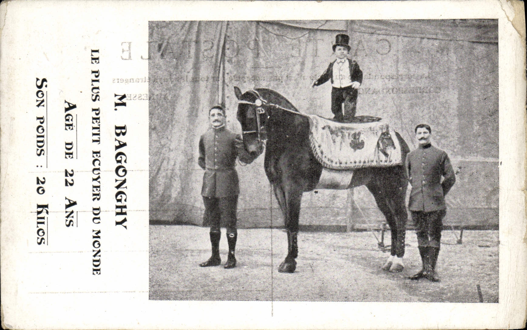 VINTAGE POSTCARD Dwarf Mr. Bagonghy the smallest rider of the world pony