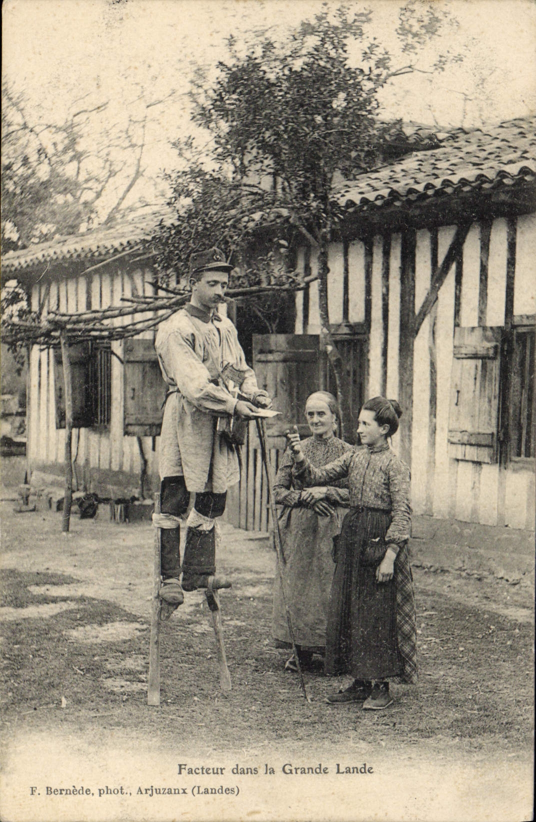 El factor de la POSTAL de la VENDIMIA adentro amarra la TAPA