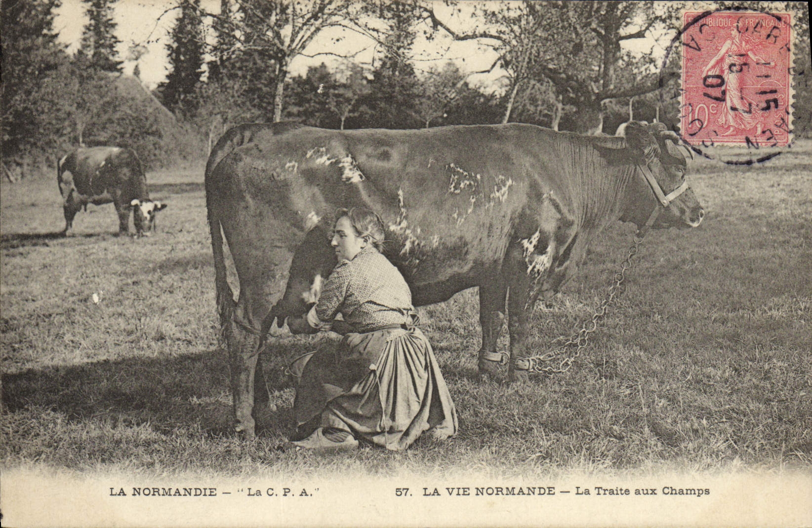 El folklore Normandía de la POSTAL de la VENDIMIA lo trata con los campos de Vache