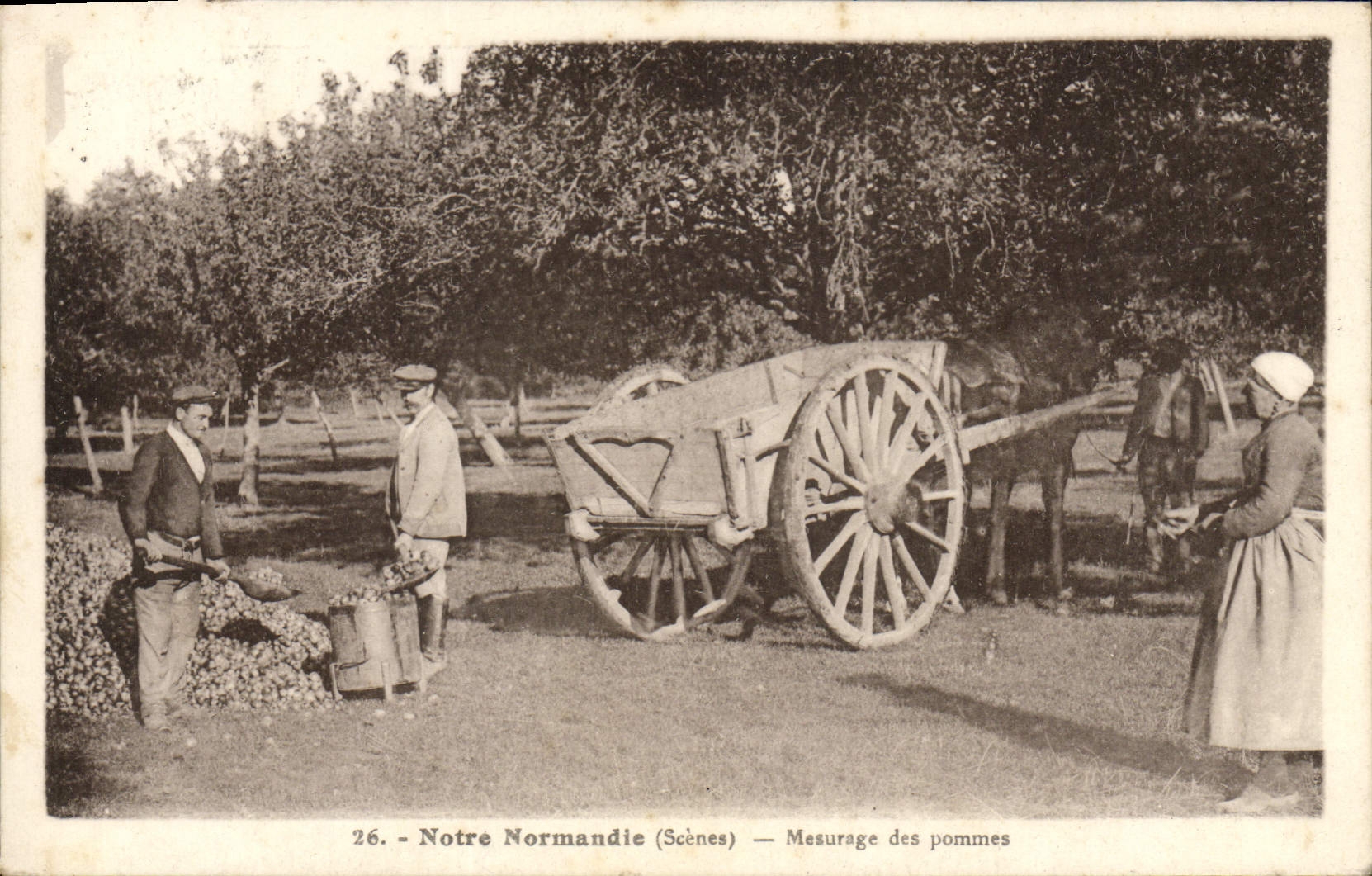 Medición de Normandía del folklore de la POSTAL de la VENDIMIA de manzanas