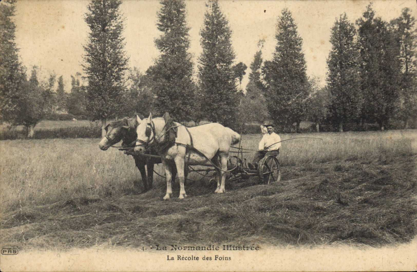 Folklore de Normandía de la POSTAL de la VENDIMIA la cosecha del caballo del heno